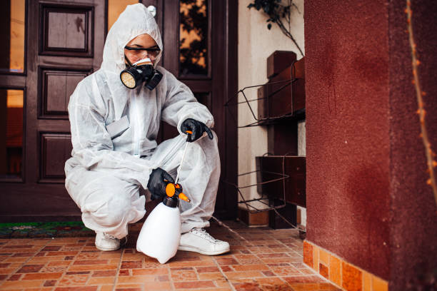 Reliable Rodent Control contractor in Mullica Hill, NJ by Nex Pest Control