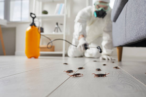 Trusted Rodent Control service in Mullica Hill, NJ - Nex Pest Control