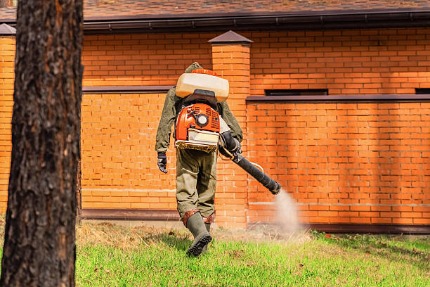 Trusted Cockroach Control service in Mullica Hill, NJ - Nex Pest Control